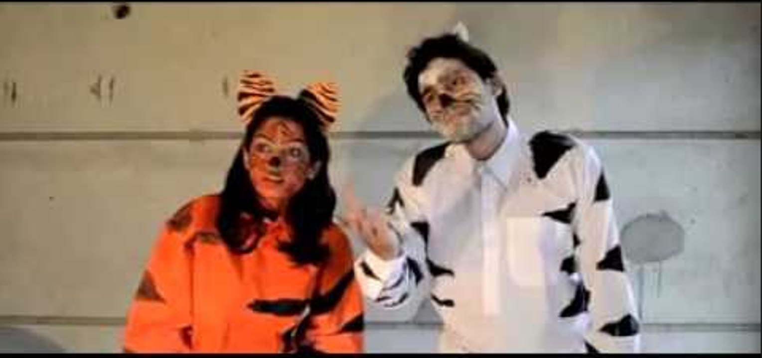 Danish Ali - funny when foreign loins vist a  zoo - Funny videos-