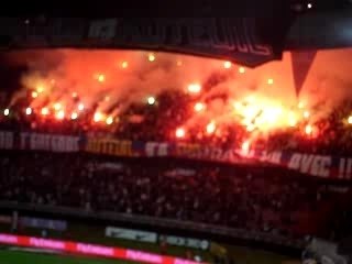 psg fumigenes