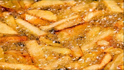 French Fries In Hot Grease Sound Effect