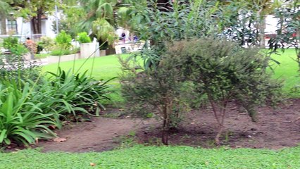 Vuelve el Rally a Leandro N. Alem, el 15, 16 y 17 de Julio