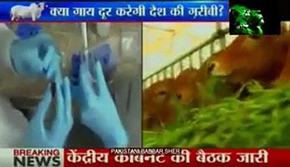 Cow's Urine Will Make India To Become Super Power - Indian Media - Video Dailymotion