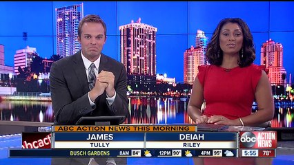 Pitbull's Florida Tourism Campaign