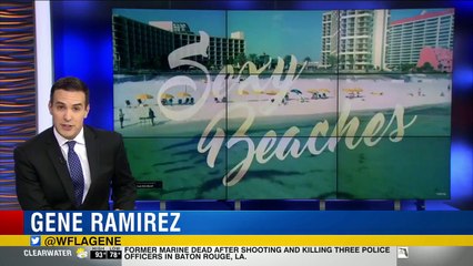 St. Pete Beach's Don CeSar featured in Pitbull video