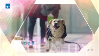 【HD】2016警花与警犬第27集 公安刑警 于和伟、侯梦莎、黄梦莹主演