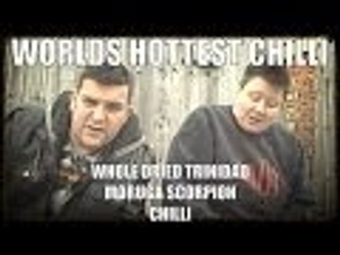 Worlds hottest Chill Whole dried Trinida moruga Scorpion Chillies | Supermadhouse83