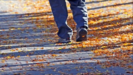 Footsteps On Leaves Sound Effect