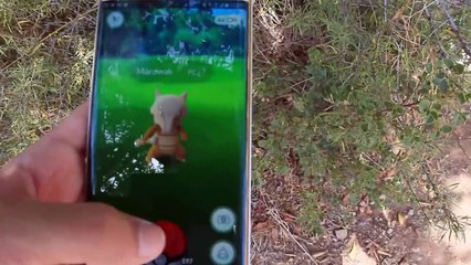 MI PRIMER HUEVO | POKEMON GO