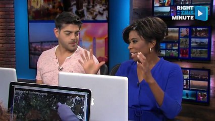 Animal Rescues: Bat in Fruit Tree & Cat in River