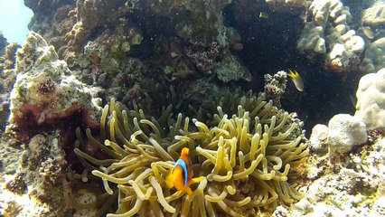 2013_05_03 Djibouti Sables blanc HD