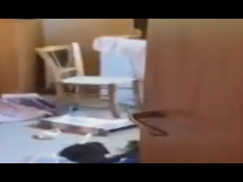 Vibo Valentia - 'Ndrangheta: arrestato il latitante Giuseppe Alvaro (21.07.16)