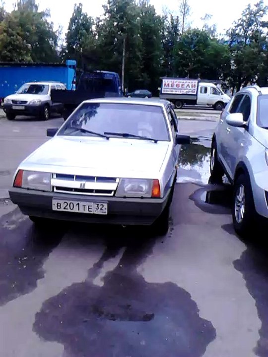 Impatient Dog Honks Horn in Car