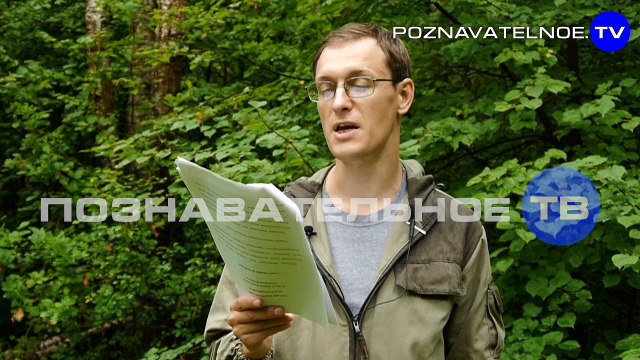 Зачем сделали турецкий путч? (Познавательное ТВ, Артём Войтенков)