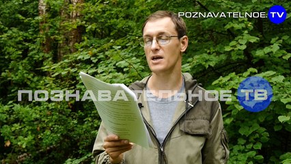 Зачем сделали турецкий путч? (Познавательное ТВ, Артём Войтенков)