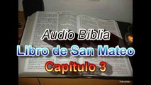 Evangelio Según San Mateo Capítulo. (3 d 28) -- Evangelio de Jesucristo
