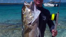 Spearfishing world : Spearfishing Great Harbour with a Guerrilla Sling