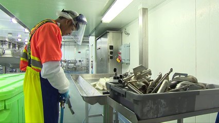 Majority of Salmon in BC Farmed in Partnership with First Nations | BC Salmon Farmers Association