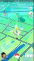 144_Pokemon-go-evolving-Eevee-1000-plus-CP_ポケモンGO