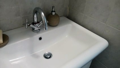 Cat obsessed with stealing hair ties