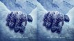 Shivaay 2016 Official Teaser Poster Out | Ajay Devgn