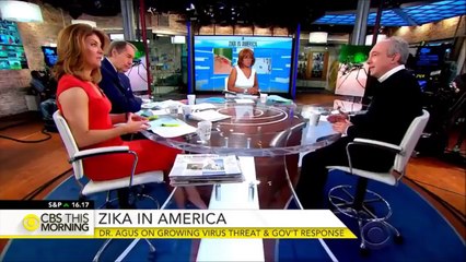 Flat Earth makes the CBS Morning News