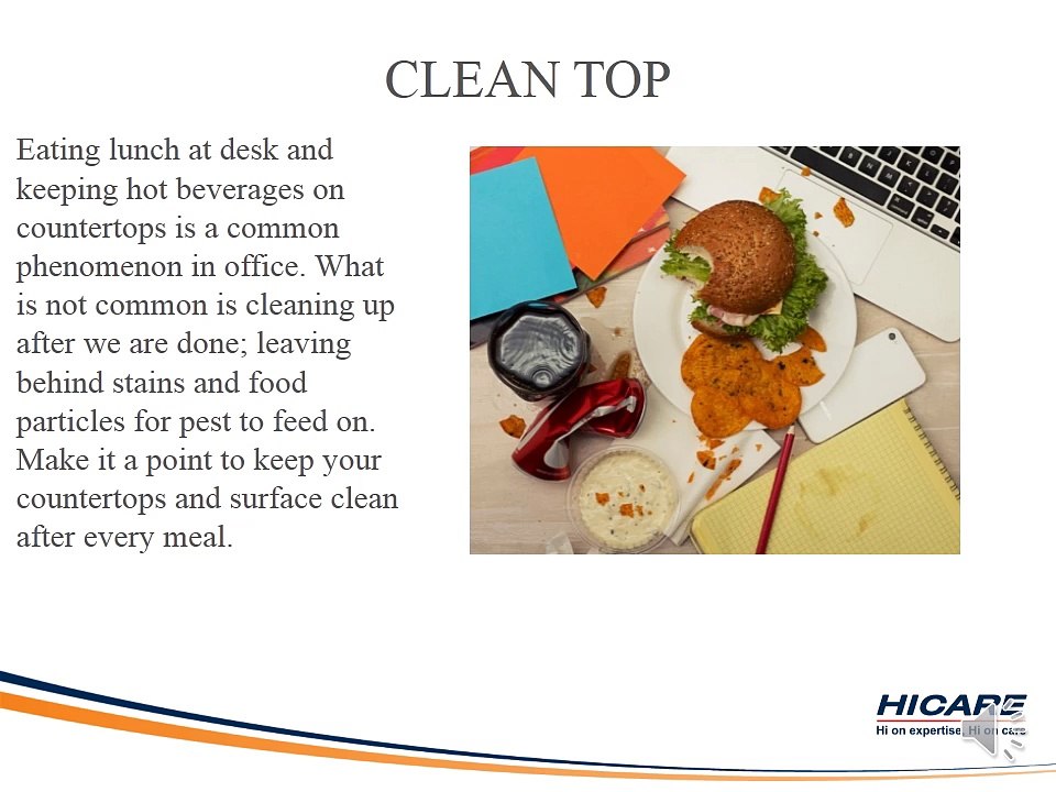 4 Ways to Keep Pest Away from Your Workspace