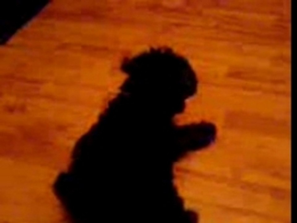 Layla loves jazzzzzz :)