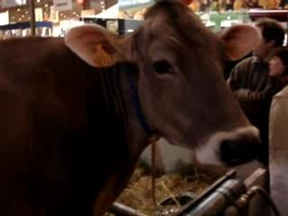 Salon de l'agriculture 2006