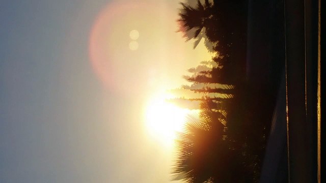 Daytime UFO over Concord, California 15 July 2016