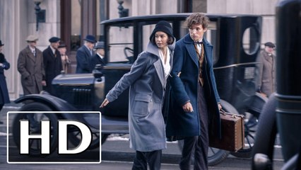 Fantastic Beasts and Where to Find Them mirar peliculas online