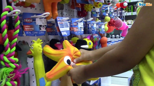 Котенок Барсик - новый питомец Ярославы! Ярослава покупает Домик для Котенка. Видео для детей