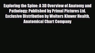 Read Exploring the Spine: A 3D Overview of Anatomy and Pathology: Published by Primal Pictures