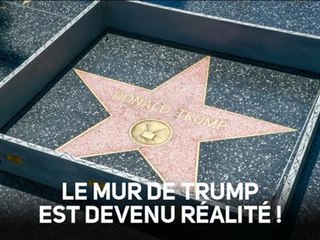L'étoile de Trump sur Hollywood Boulevard emmurée