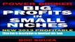 Read Power Broker: Big Profits in Small Niches | New 2013 Profitable Niche Marketing Strategies