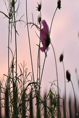 해외베팅사이트 해외토토사이트 SuperCar777。com 가입코드6623 NBA매니아