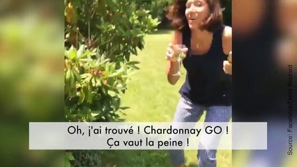 Si vous n'accrochez pas avec la frénésie Pokémon, on vous a trouvé une alternative !