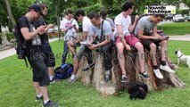 VIDEO (41) : Pokémon GO : les geeks sont de sortie à Blois