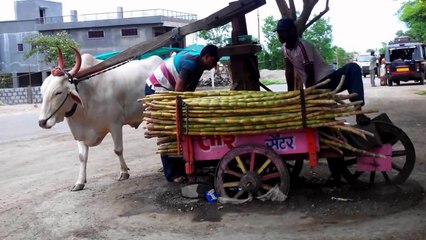 Whatsapp Funny Worst Photoshop Edits Ever 2016 _ It Happens Only In INDIA