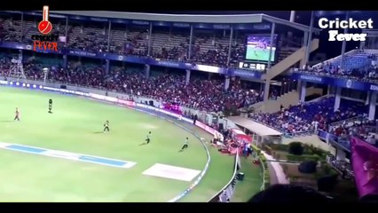 ✪✪ Top-5 ANIMALS IN Cricket field Compilation ✪✪ Real Video, Not Fake