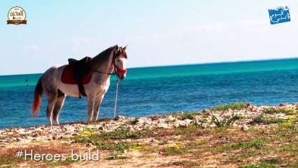 9oum Ebni : Graffiti ‎Medenine