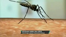 Cientistas descobrem que pernilongos também transmitem zika vírus