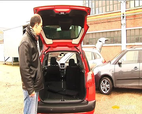 Renault Clio Estate/ Peugeot 207 SW/Skoda Fabia...