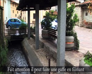 Lancia Delta: Une compacte presque familiale