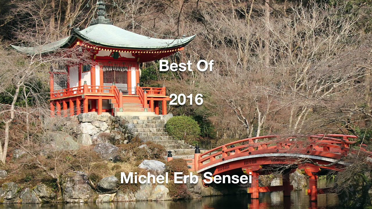 Best of 2016 Michel Erb Sensei Part 2