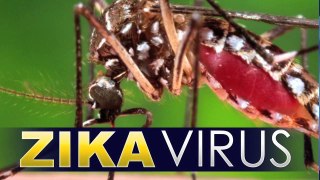 OCTV 25 Zika Virus PSA