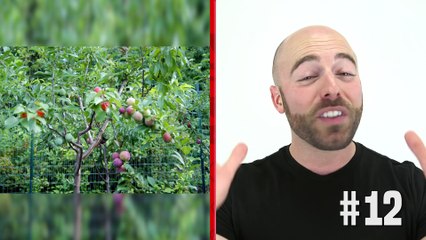 50 AMAZING Facts to Blow Your Mind! #27