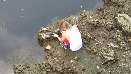 Sauvetage de deux tortues enchaînées