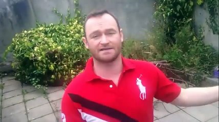 Insider Commissions  REVIEW AND BONUS