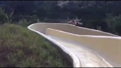 Il chute d'un toboggan dans un parc aquatique !