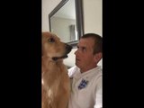 Surprised Dog Reacts to the News That He's Getting a Brother