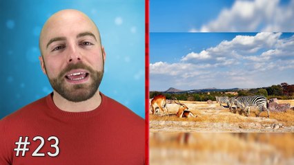 50 AMAZING Facts to Blow your Mind! #43